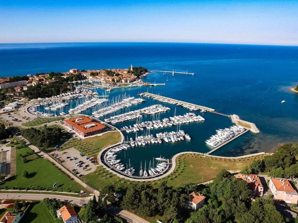 Mavel Umag